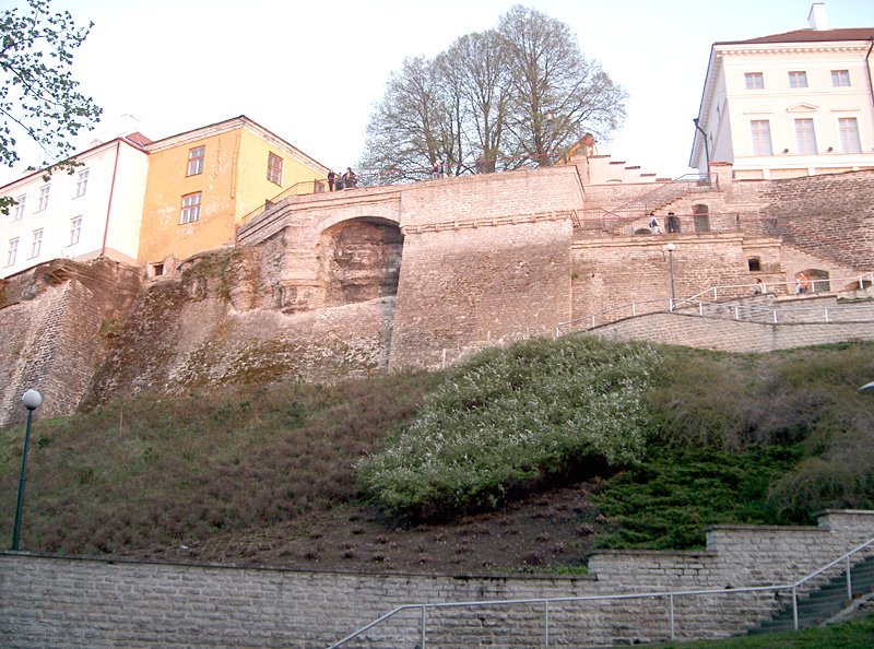 hillside2.jpg